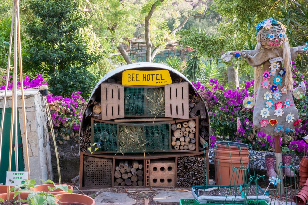 A bee hotel