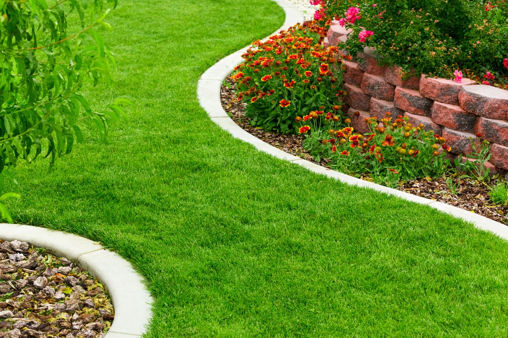 curved landscape edging