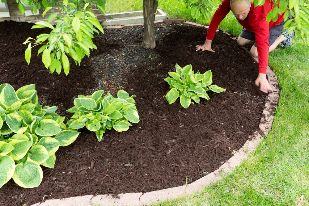 10 Easy Garden Edging Installation, How To Lay Garden Edge Stones