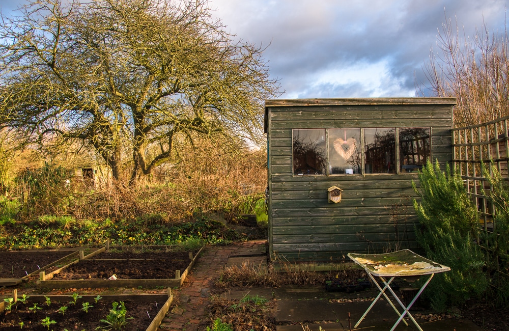 Starting An Allotment The Ultimate Guide Upgardener™