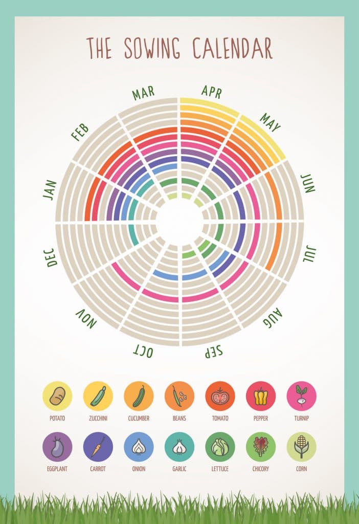 Starting An Allotment The Ultimate Guide Horticulture.co.uk