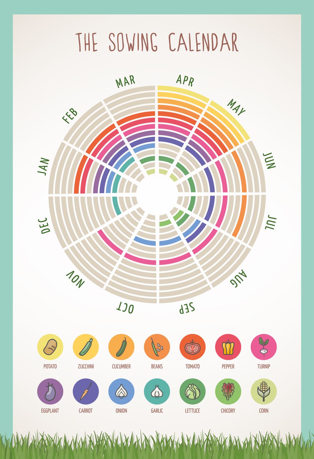 Starting An Allotment The Ultimate Guide Upgardener™