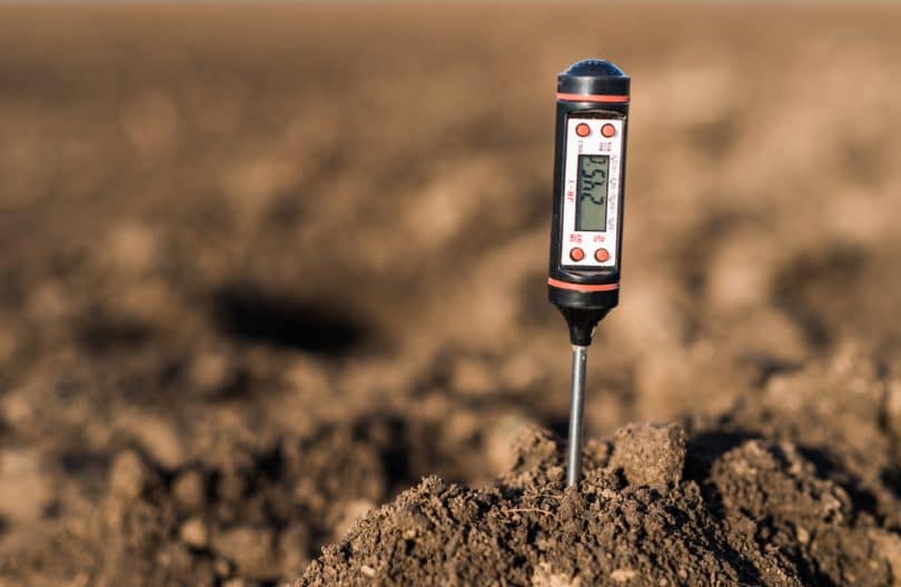 5 Best UK Soil Testing Kits Reviewed UpGardener™