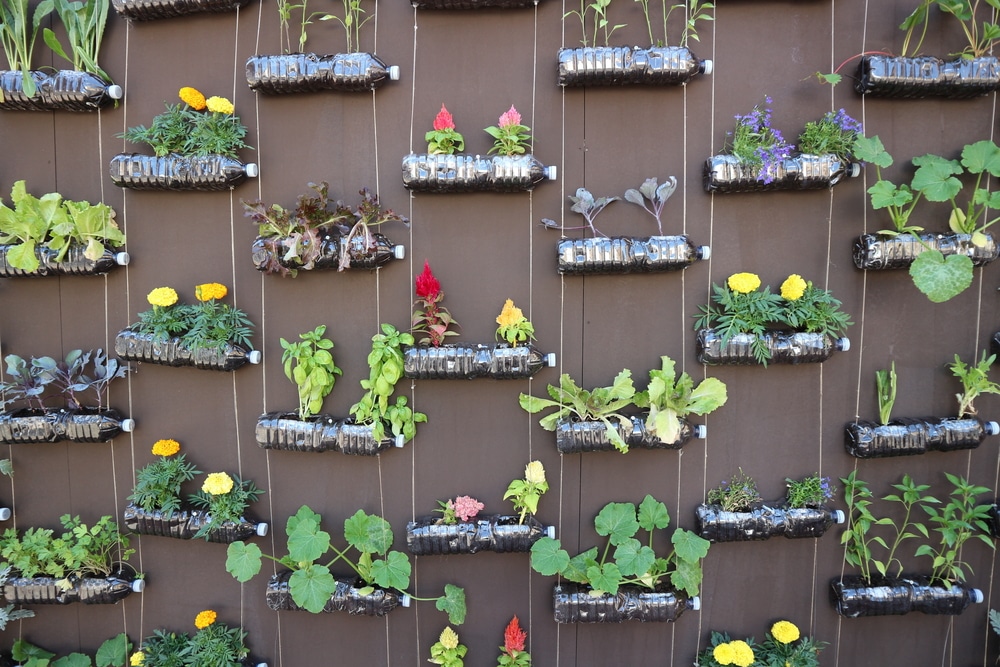 18 Smart Vertical Garden Ideas For Small Spaces Horticulture