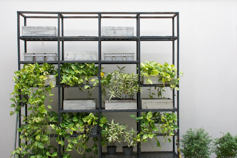 18 Smart Vertical Garden Ideas For Small Spaces Horticulture