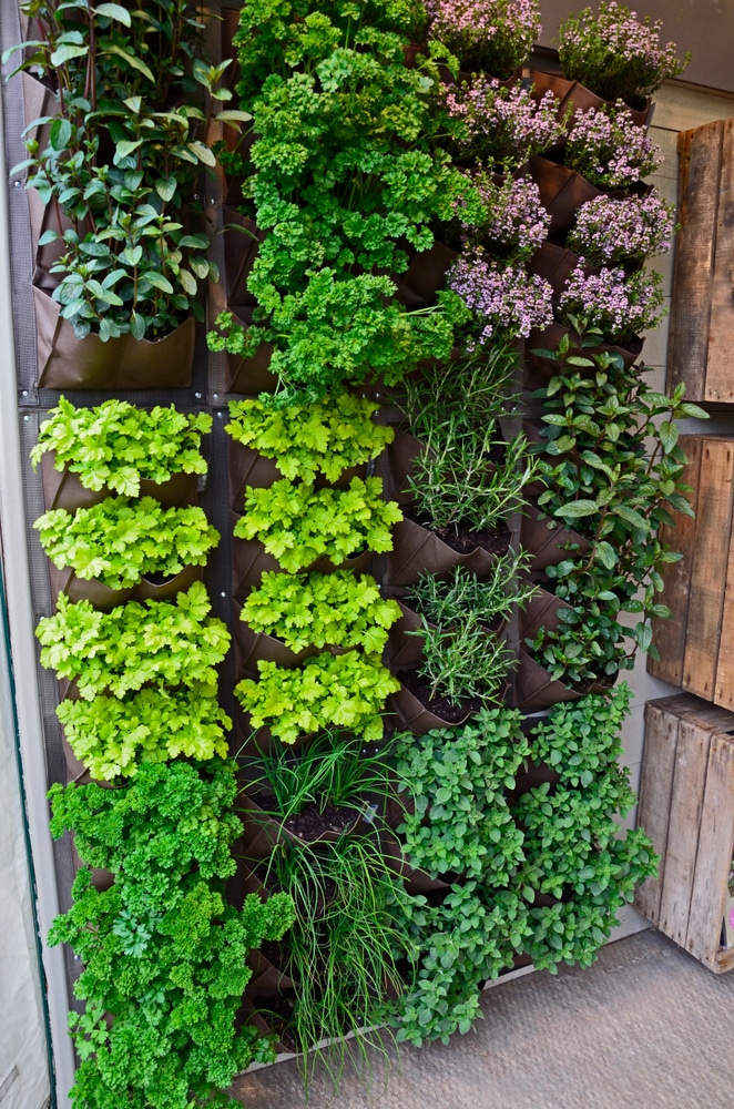 18 Smart Vertical Garden Ideas For Small Spaces Horticulture - Drain Pipe Herb Garden