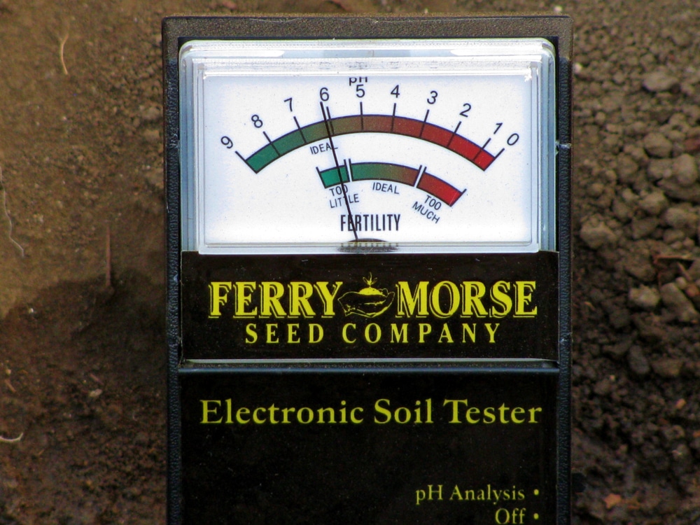 A Close-Up of a Soil pH Testing Meter