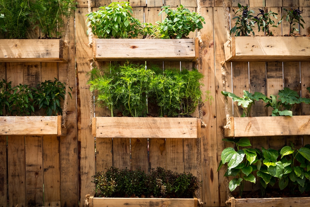 18 Smart Vertical Garden Ideas For Small Spaces Horticulture