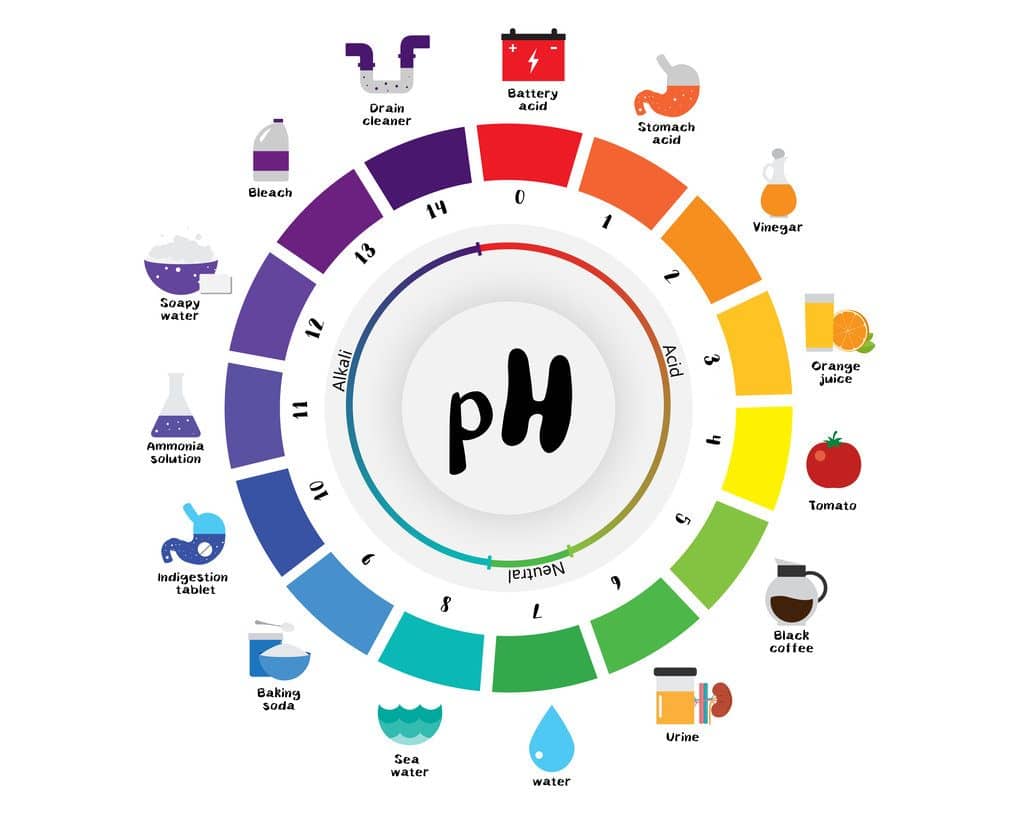 A Visual Representation of pH Values of Various Substances