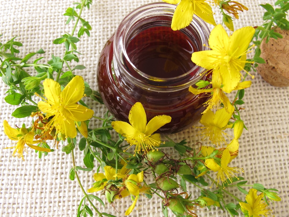 St. John’s Wort oil in a glass container
