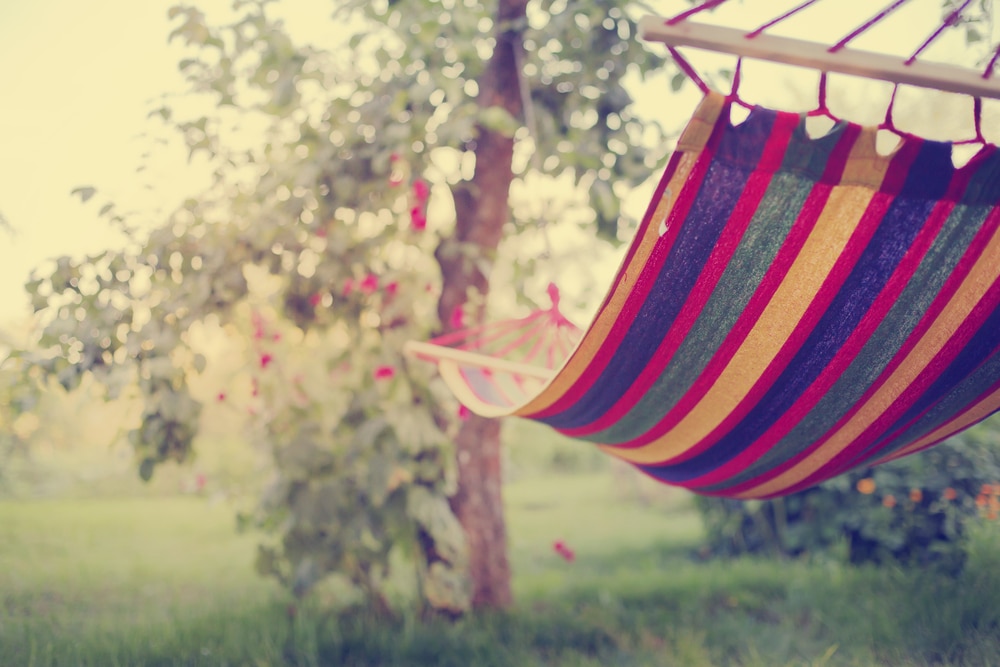 5 Best UK Garden Swing Hammocks Reviewed | UpGardener™