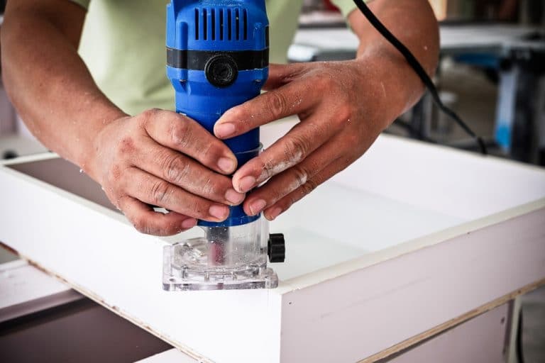 5 Best UK Palm Routers Reviewed (Jul 2020) UpGardener™