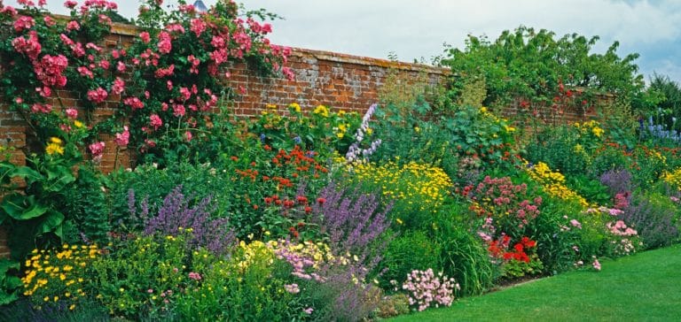  planning a garden border uk