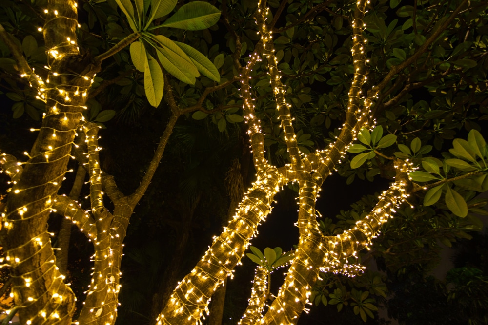 Best Outdoor Fairy Lights For Trees Outdoor Lighting Ideas