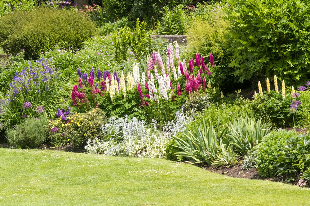 Garden Border Planting Ideas For UK Gardens | UpGardener™