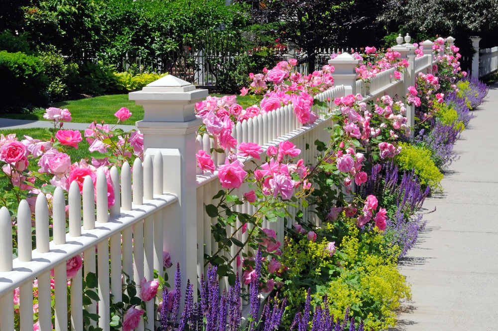 24 Stylish Garden Fencing Ideas For Any Garden UpGardener