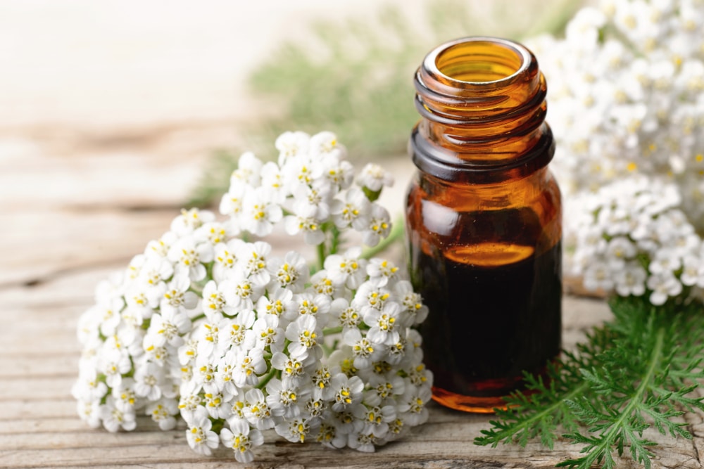 Yarrow on table with essential oil bottle