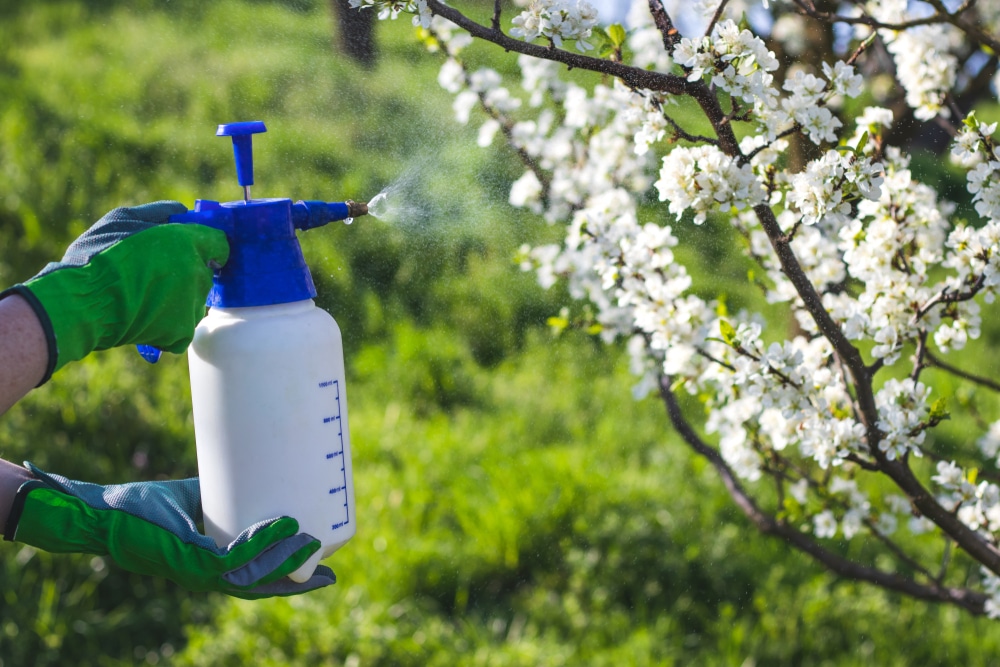 5 Best Uk Garden Sprayers Reviewed Jan 2020 Upgardener