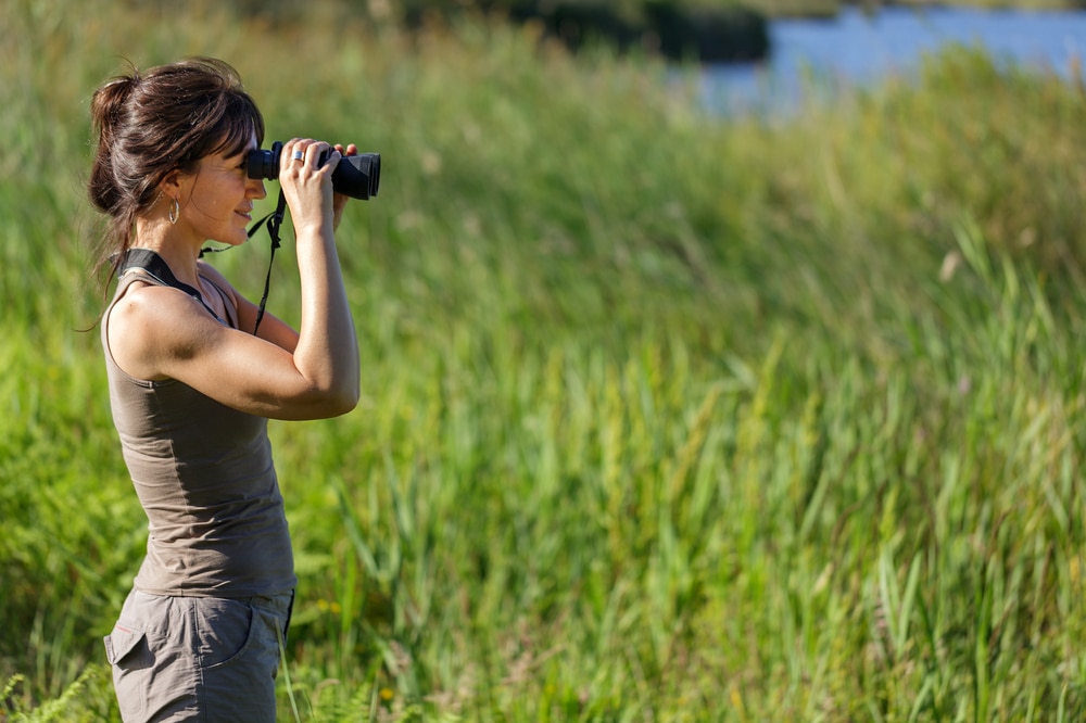 The Best Binoculars You Can Buy Online, According To A Birding Expert
