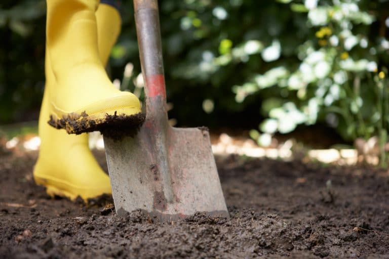 5 Best UK Garden Spades Reviewed (Nov 2020) UpGardener™