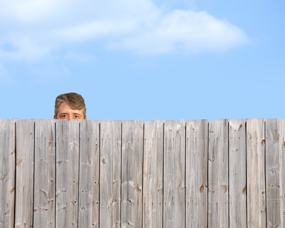 man poking his head over a garden fence