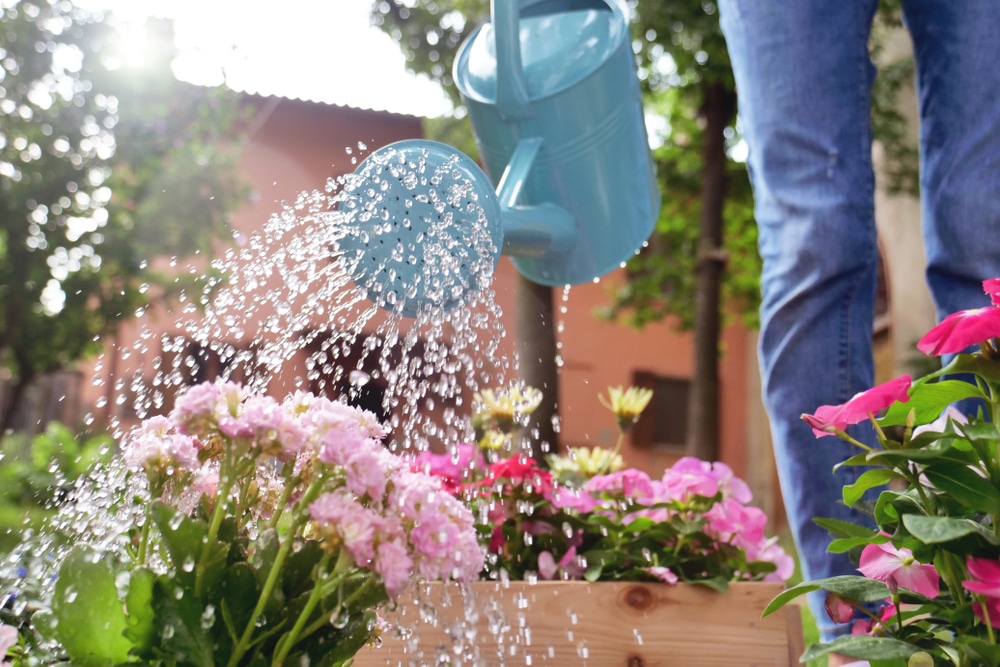 HAWS V127SK Indoor Plastic Watering Can Light Blue