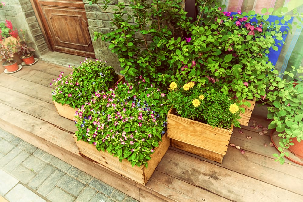 Flowers in wooden planters sat on decking