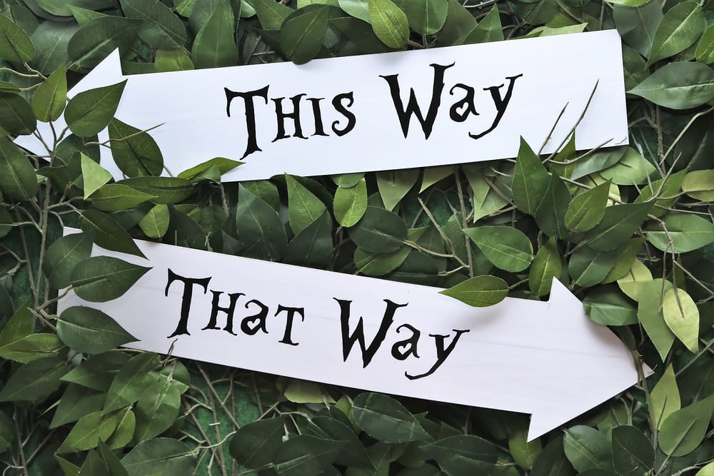 two signs on a leafy background stating 'this way' and 'that way'