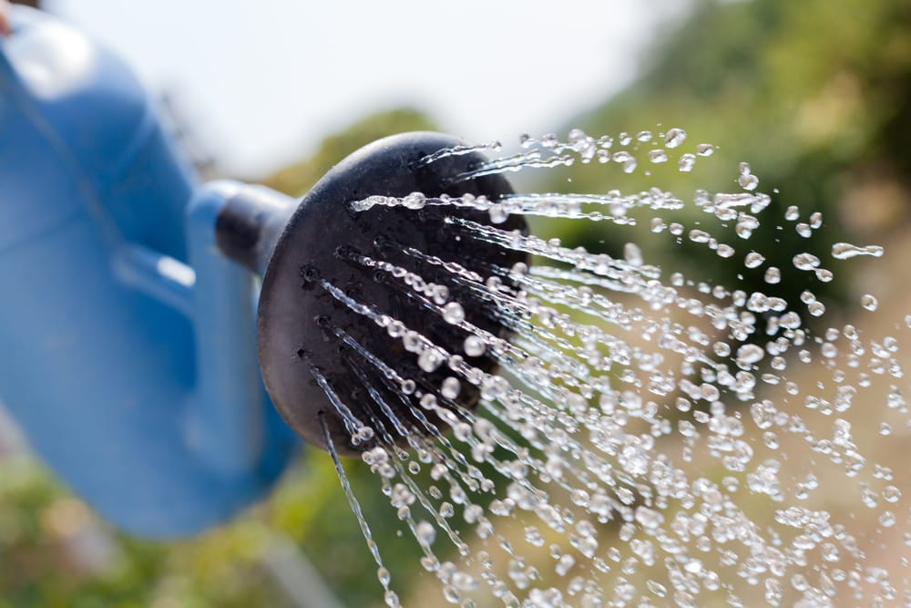 water falling from a watering can