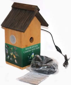the bird box view nesting box with camera