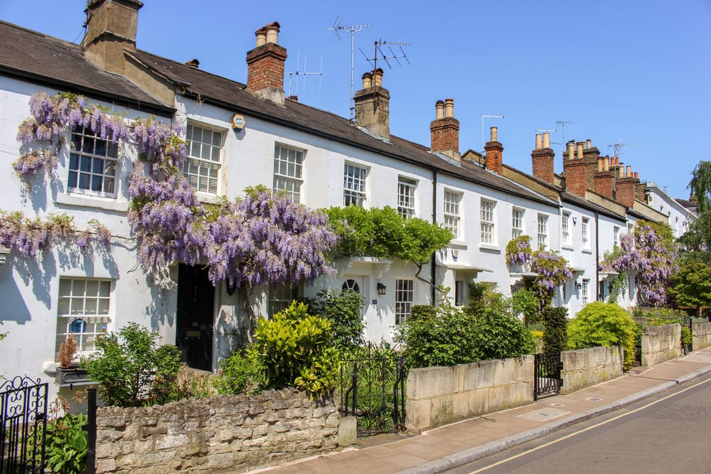 wisteria on the outside of an english home