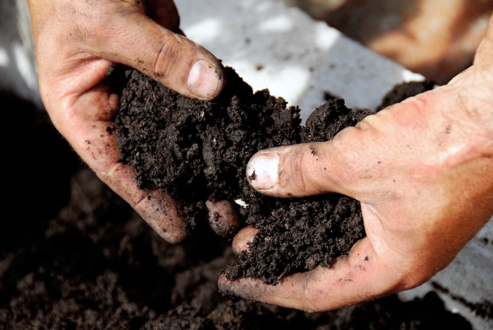 close up of mans hands in soil