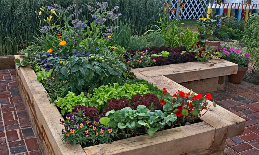 How To Make A Raised Garden Bed In 4 Steps Horticulture