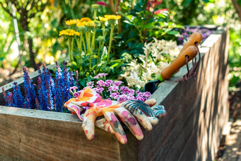 various plants, gardening gloves and a trowel sat in a wooden planter