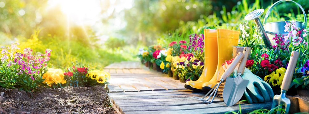 Gardening - Set Of Tools For Gardener And Flowerpots In Sunny Garden