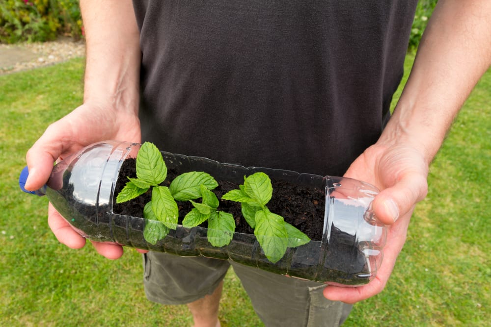 man holding a plastic bottle cut out and used to grow seedlings