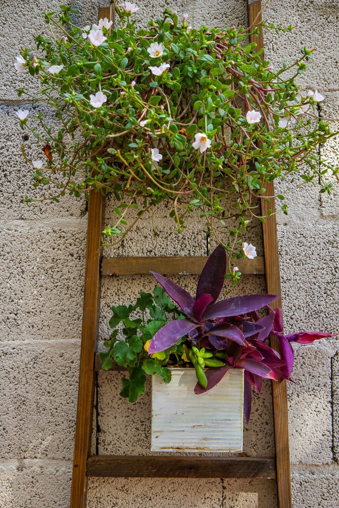 street planter made from a wooden ladder