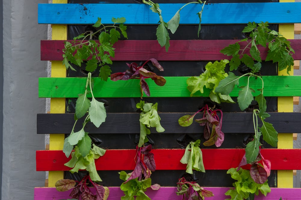 a colourful painted pallet hung vertically and used to grow plants