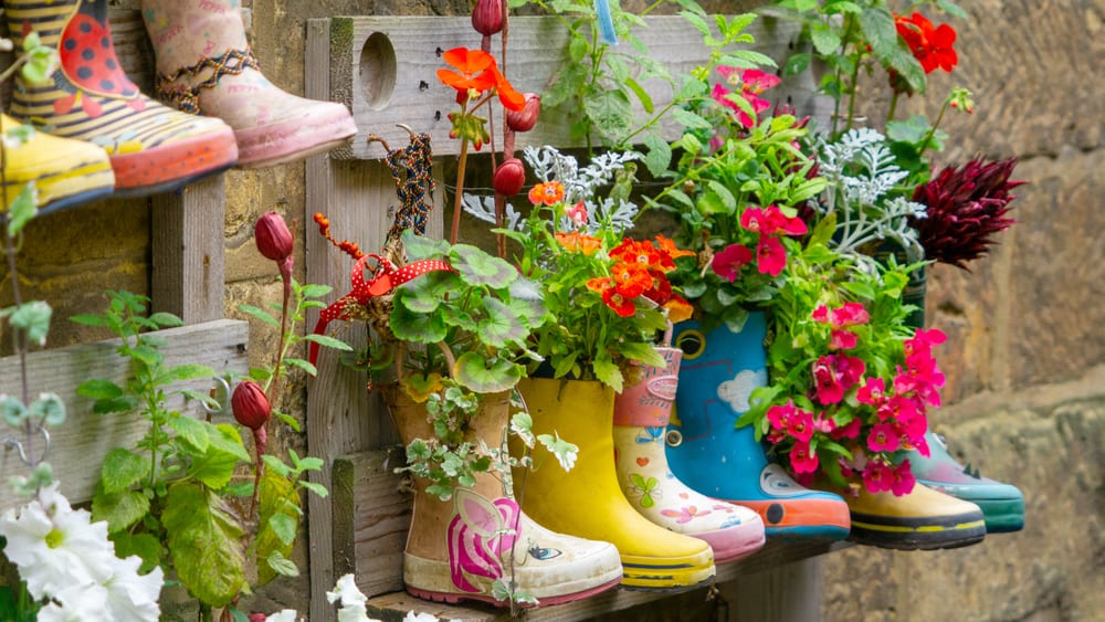 plants growing from painted wellies in Yorkshire, UK