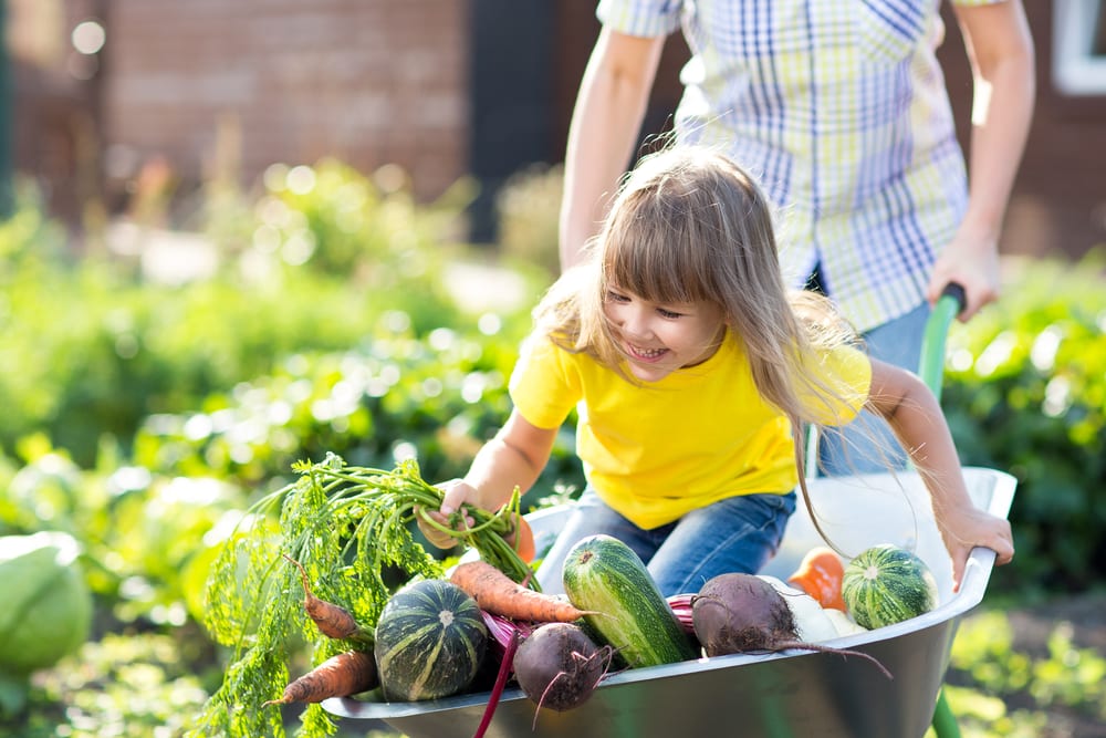 young girl and vegetables being pushed in a wheelbarrow