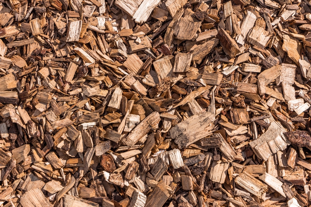 Close up of wooden splinters in garden
