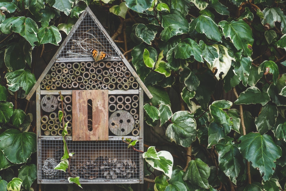 An insect hotel with an orange butterly