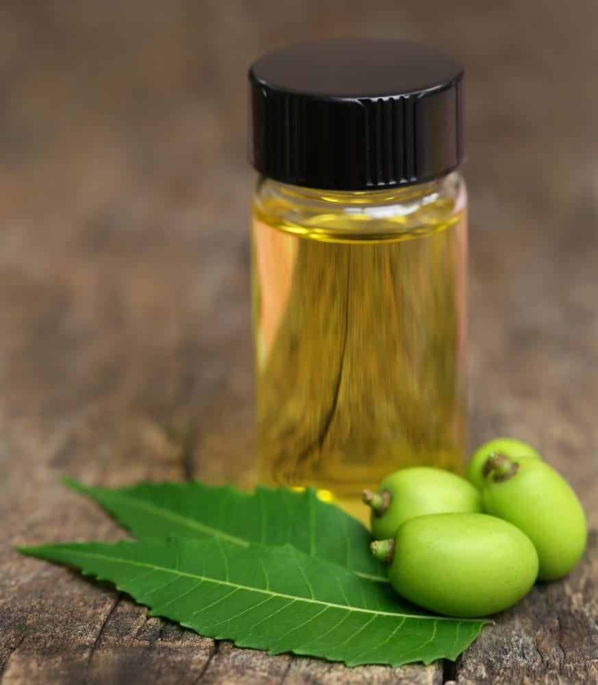 Medicinal neem oil in a plastic bottle