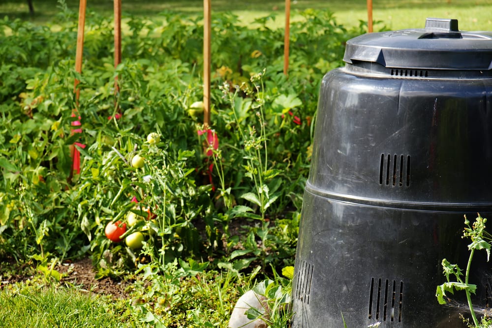 5 Best UK Compost Bins Reviewed (Oct 2020) UpGardener™