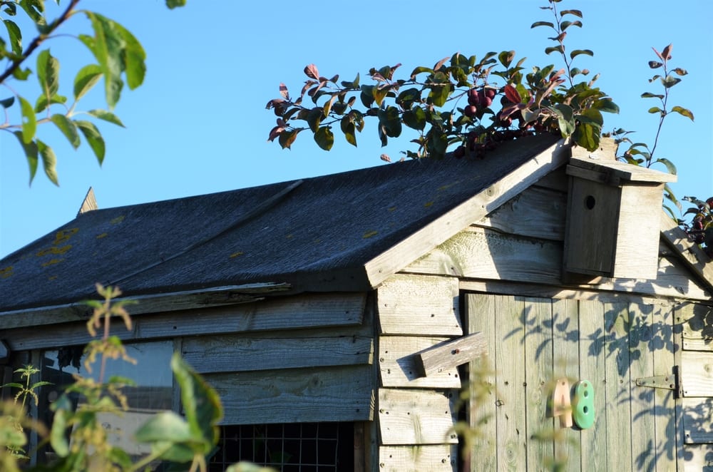 5 best shed roofing felts for garden buildings upgardener