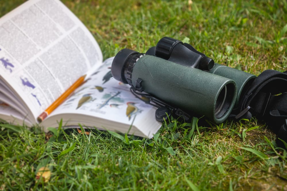 Binoculars and a bird guide on grass surface