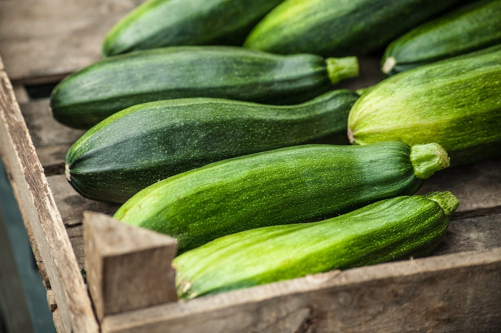 Fresh healthy green zucchini courgettes