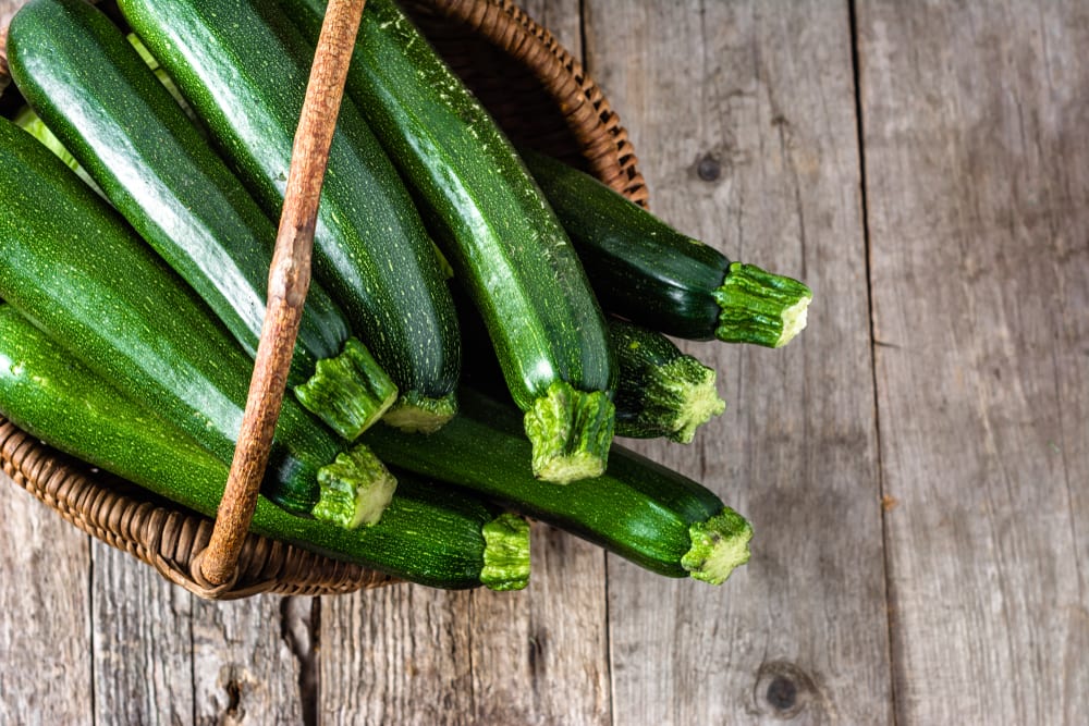 How To Grow Courgettes Plant Care In The UK UpGardener