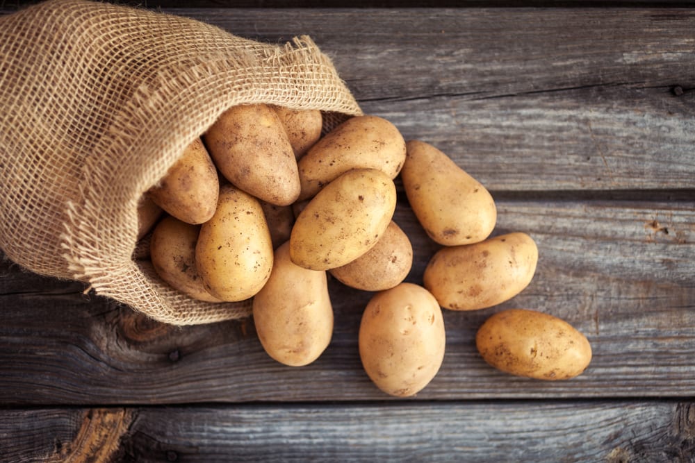 How To Grow Potatoes In A Pot Expert Tips UpGardener™