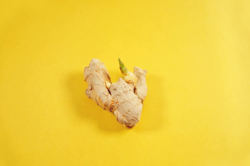 ginger root with a sprouting plant on yellow background
